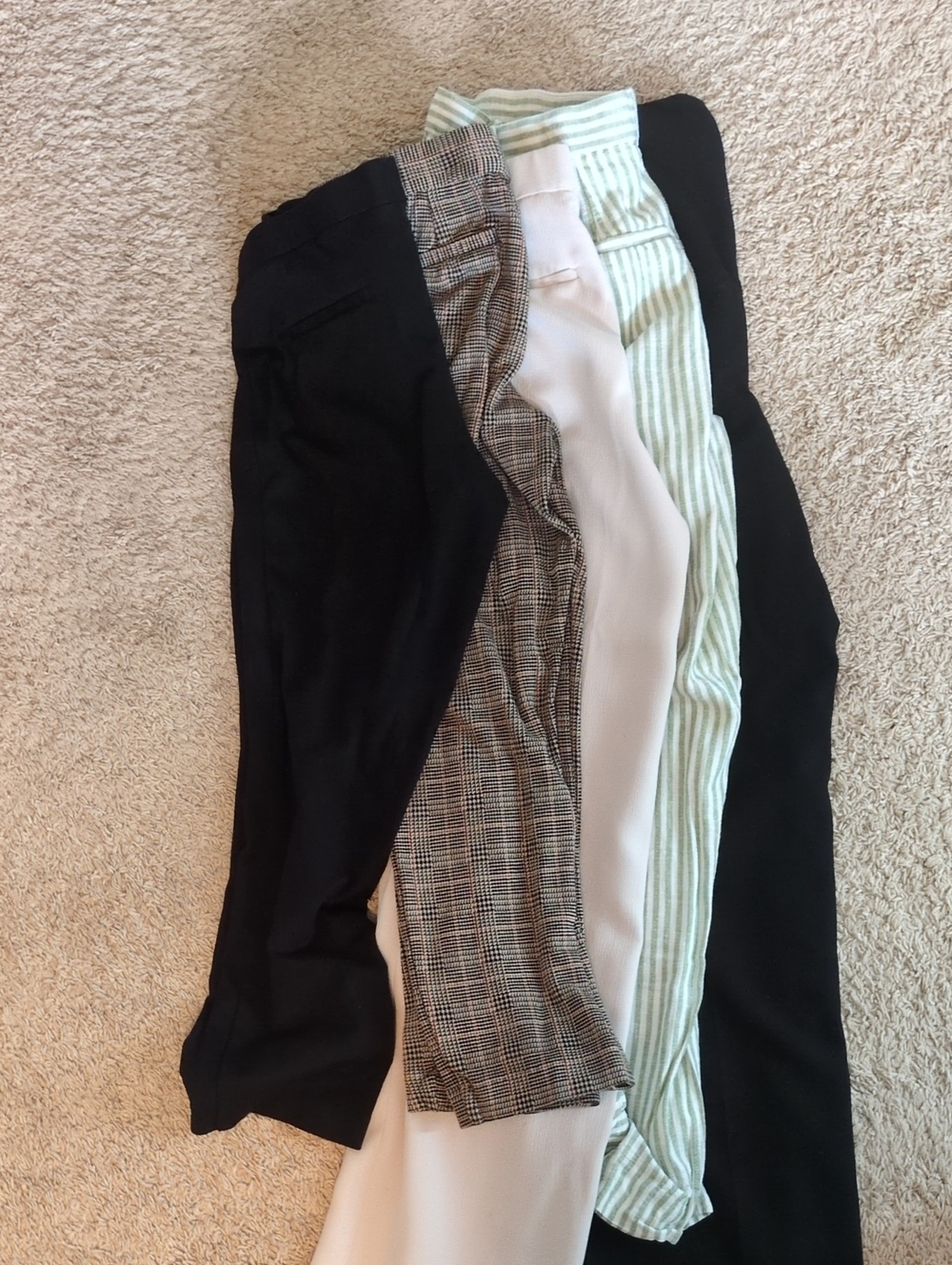 Office Pant Bundle